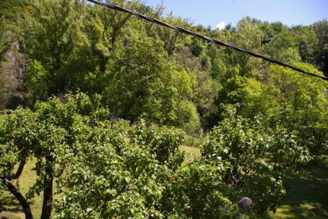 El Refugio De Valporquero Villa Vegacervera Dış mekan fotoğraf